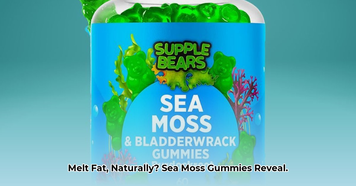 best-sea-moss-gummies-for-weight-loss